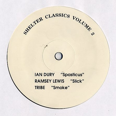 Various : Shelter Classics Volume 2 (12")