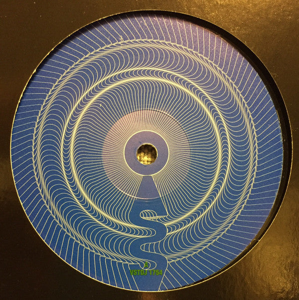 Skunk Anansie : You'll Follow Me Down (12", Promo)