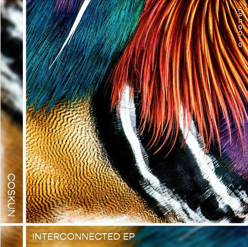 Coskun : Interconnected EP (12", EP)