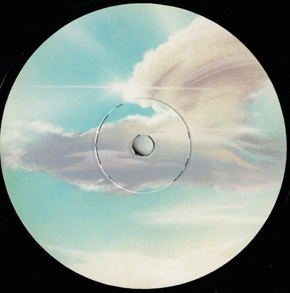The Soulscaper :  Inside Voices (2x12", Ltd)