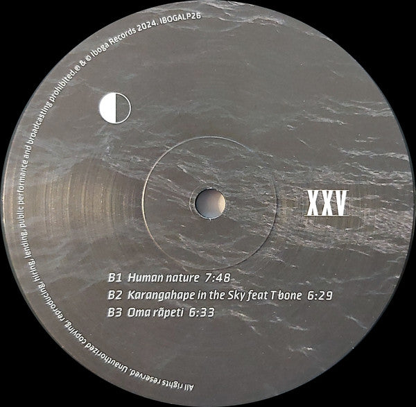 Antix : XXV (2xLP, Album)