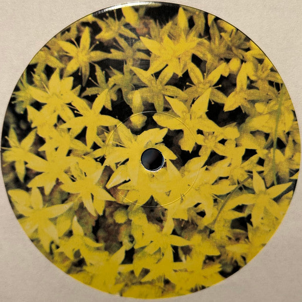 Sleep D : Big Sky, Liquid Sun (12", EP)