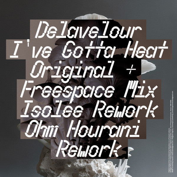 Delavelour : I've Gotta Heat Reworks (12", Maxi, Num)