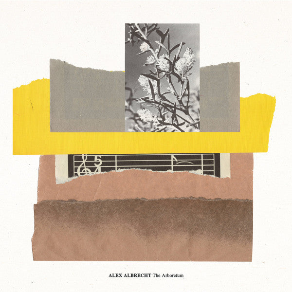 Alex Albrecht : The Arboretum (12")
