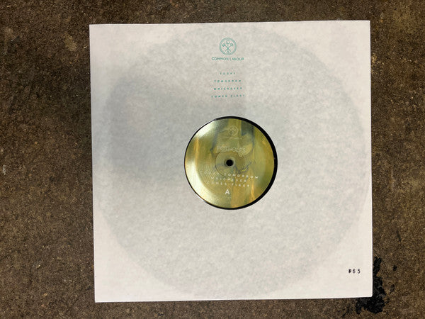 pothOles (2) : Today Tomorrow Whichever Comes First (12", MiniAlbum, Ltd)
