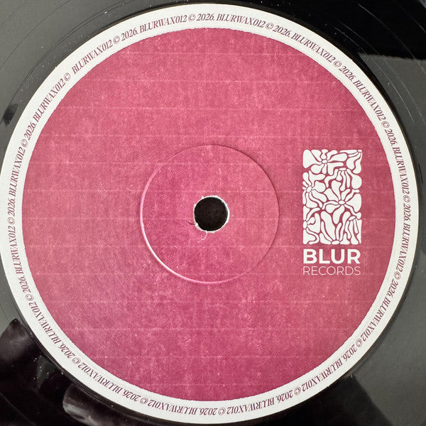Delfonic : Eternal Love (12", EP)