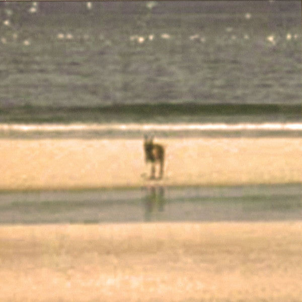 Jorge Velez : Territories (LP)