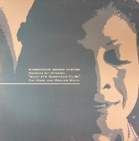 Hydroponic Sound System presents Pat Peterson : What It's Supposed To Be (12", Single)