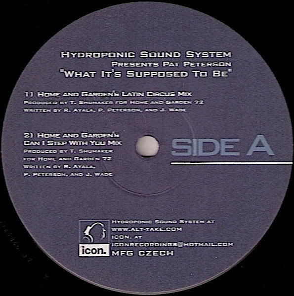 Hydroponic Sound System presents Pat Peterson : What It's Supposed To Be (12", Single)