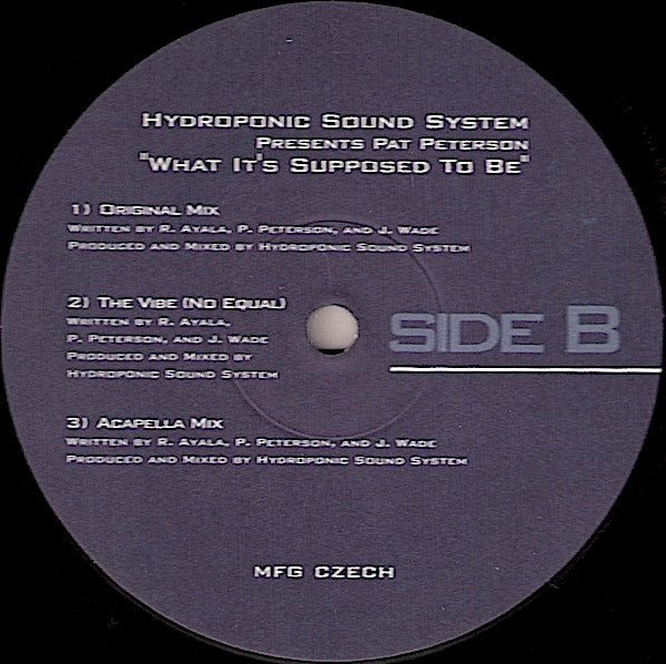 Hydroponic Sound System presents Pat Peterson : What It's Supposed To Be (12", Single)